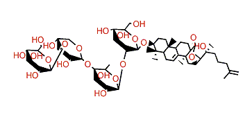 Apostichoposide B1